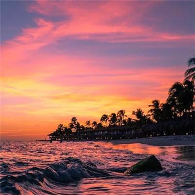 ManBetX客户端登录下载手机版