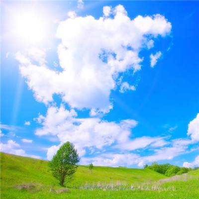 6566体育app下载截图