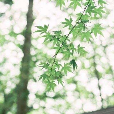 亚搏娱乐中心app下载