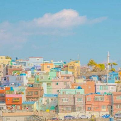 狗万官网手机app下载